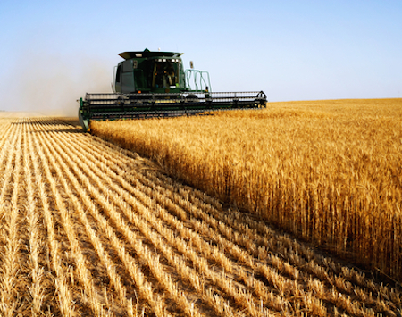 agriculture-copy-2-3